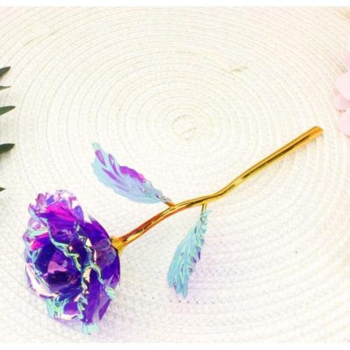 SONSUZLUK GÜLÜ TEKLİ