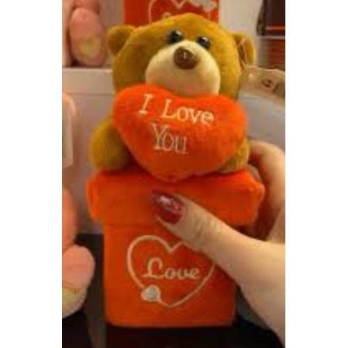 PELUŞ AYICIK KUTULU KOD:EREN-29