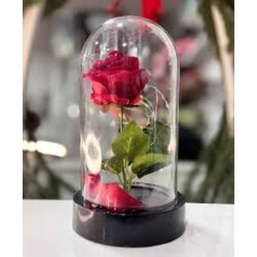 LED IŞIKLI FANUS KARIŞIK KÜÇÜK